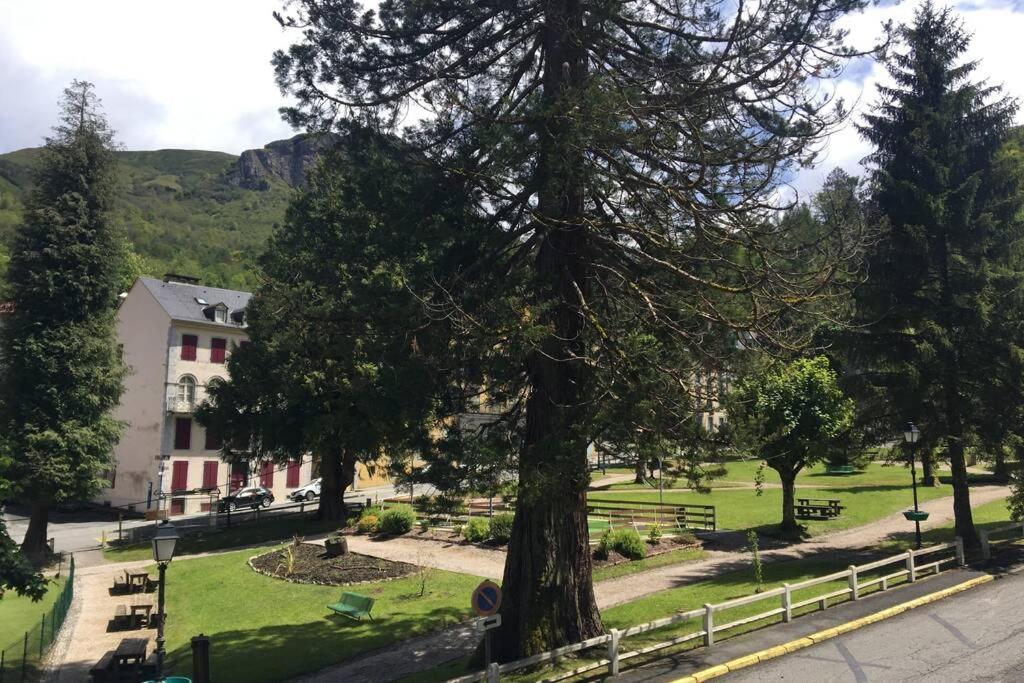 Cocon De La Vallee D'Ossau , Veritable Havre De Paix - 4 A 6 Pers Eaux-Bonnes Exterior foto